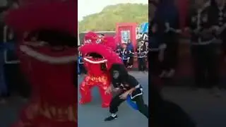 BARONGSAI IKS.PI #shortvideo #shorts
