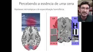 Aula 07 - Percepção de cenas, objetos e faces (parte 2)