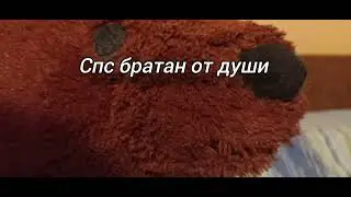 Кот играет хардкор на 1 чанке Майнкрафт