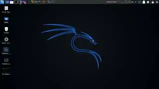 kali linux status