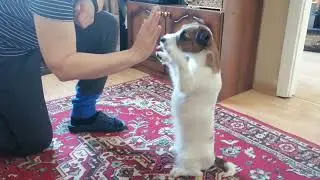 Как учились 