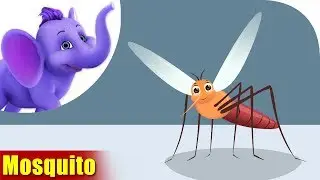 Mosquito | A Bug Song | 4K | Appu Series