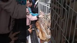 А у нас во дворе золотые дети🙏💓