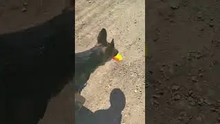 папочка идёт к речке 3