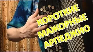 Одно из лучших упражнений для пальцев на баяне! Короткие мажорные арпеджио! Урок#19