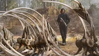 65 | Prehistoric VFX Breakdown