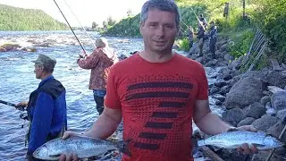 ЛОВ ГОРБУШИ НА РЕКЕ УМБА.
