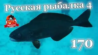 Русская рыбалка 4 Норвежское море Яма 170м