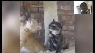 ПОКАЗАЛ ЛИЦО! (Тест на психику)№1