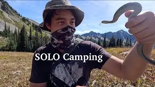 3 Days In Washington's Olympic Mountains - Sleeping with Bears, Discovering Hidden Lakes - SOLO