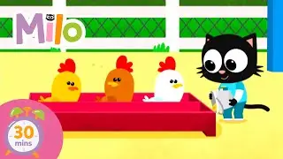 Milo and animals | Milo Official Channel