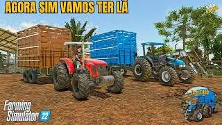 Aquisição de Ovelhas e Início do Plantio de Soja || #07 G29