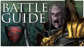 Vampire Counts Immortal Empires Battle Guide | Total War Warhammer 3
