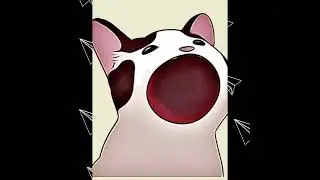 Perfect Loop Pop Cat Yum Yum
