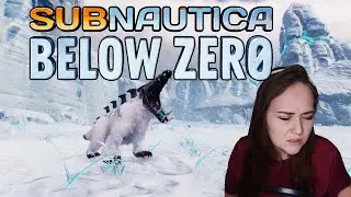 Subnautica Below Zero - Новые находки