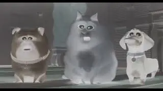 PETS Visual and Audio Effects - Cat Eat Birds, It's Nature