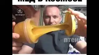 Мед в космосе