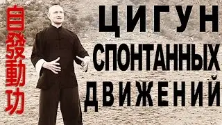Цигун спонтанных движений (цзыфа дунгун 自發動功)