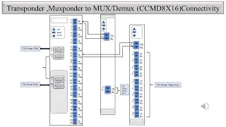 Physical Connectivity between Ciena Transponder/Muxponder to CCMD8x16 in Signal Flow of DWDM/CDC