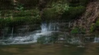 Soothing Calm Relaxing Music