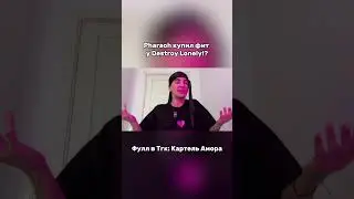 Вся правда о фите Pharaoh и Destroy Lonely — чего вы не знали?