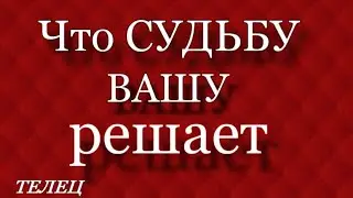 ТЕЛЕЦ, 2024, ЧТО СУДЬБУ ВАШУ РЕШАЕТ, Анна зверева, таро, гороскопы прогнозы