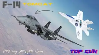 DIY. F-14 Tomcat Project