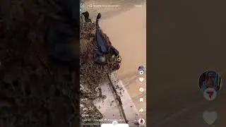 Скорпіони 🦂 VS оси  🐝  