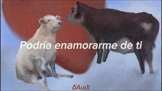 Andy Shauf - Eyes Of Them All (Sub Español)
