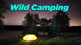 Griffin Forest Wild Camp