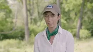 Trailer 2 | Grass Roots