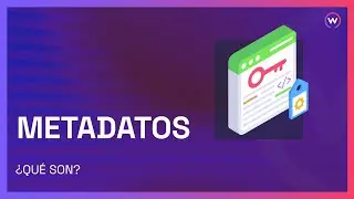 QUÉ SON LOS METADATOS