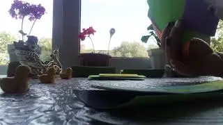 Что уготовила вам судьба 💯🔮в ближайшее время 💯🔮