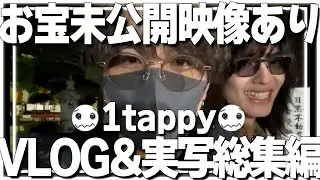 【VLOG】世界大会＆年越し配信総集編【1tappy/Mia.K/4rufa/機械学習/KINOTROPE/ゆきお/あつし/YukaF/さつき/メルトステラ/Lykq/L1ng/APEX/ALGS】