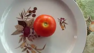 томат Самородок  Дегустация