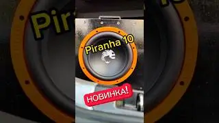 Новинка! Бодрый/Бюджетный сабвуферный динамик Piranha 10! от DL Audio 