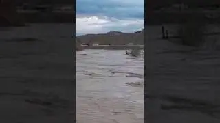 Сели Н.Ёвон