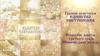 Годовой практикум ЕДИНСТВО СВЕТОНОСЦЕВ. Открытие работы третьего глаза. Шишковидная железа