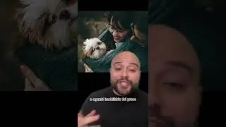 O cachorro que comprou um apartamento 😳🐶 #shorts #historiasdetiktok #shitzu #curiosidades