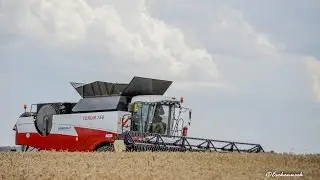 Rostselmash Torum 760 / Triticale dreschen / Egenolf Limburg