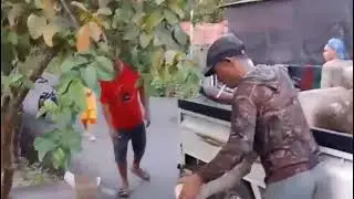Tiwah Pisur di Baun Bango