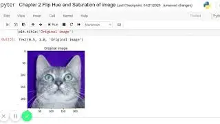 Flip Operation using Python on Jupyter Notebook