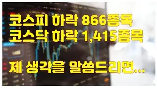 [주식] 역대급으로 하락종목이 많았던 오늘