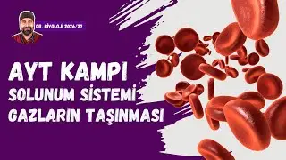 Solunum Sistemi Gazların Taşınması | Dr. Biyoloji | AYT Dönem 2026 - 2027