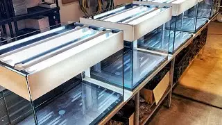 Aquascaping at Tropica - Interzoo 2020 - Behind The Scenes Preview