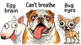 All DEFORMED Dog Breeds That Should Go EXTINCT Explained