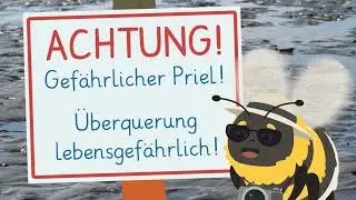 Tiere und Pflanzen im Wattenmeer einfach erklärt | sofatutor