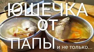 ЮШЕЧКА ОТ ПАПЫ и не только... |Мировой закусон