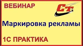 Разрешительный режим на кассах и  Маркировка интернет-рекламы (запись от 11.06.2024 г.)