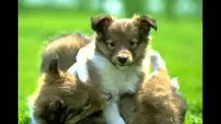 Позитив